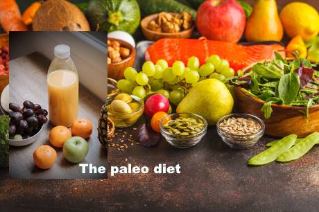 The Paleo-diet Plan, Weight Loss Plan Review